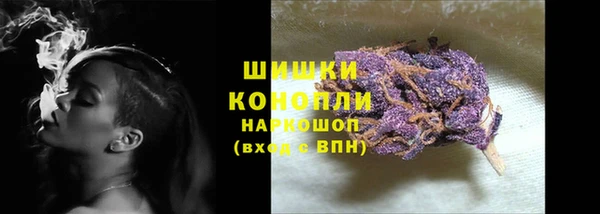 прущие грибы Рославль