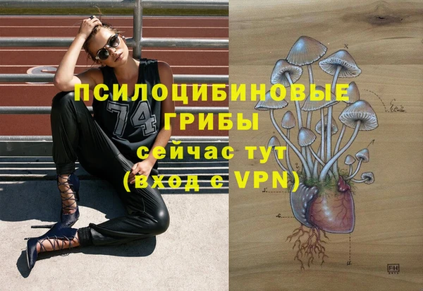 кристаллы Богородицк