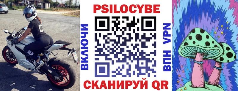Псилоцибиновые грибы GOLDEN TEACHER купить цена Макаров
